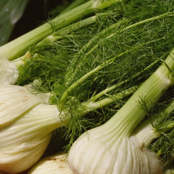 After Dinner – Heritage Tea