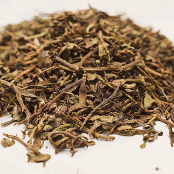 Bacopa, Cut & Sifted (Bacopa monniera) - Dried Herb, Organic