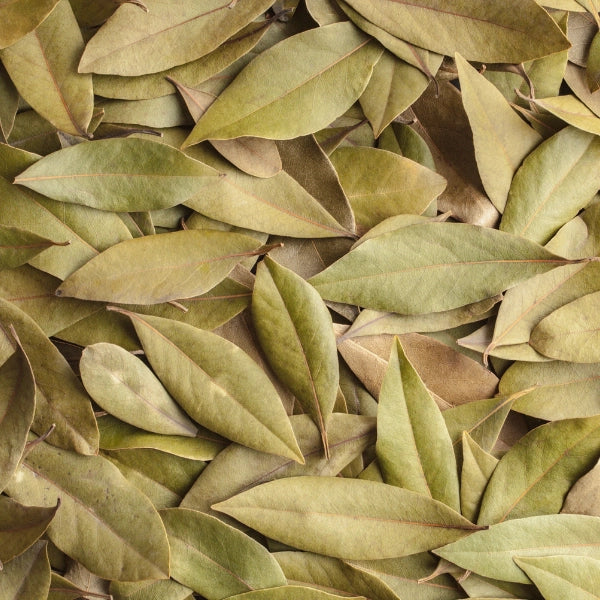 Bay Leaf (Laurus nobilis) - Dried Herb, organic