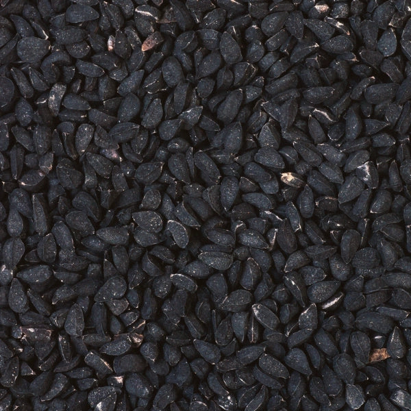 Black Cumin (Nigella sativa) - Carrier Oil