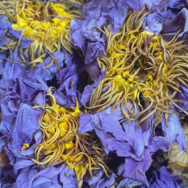 Blue Lotus - Dried Herb