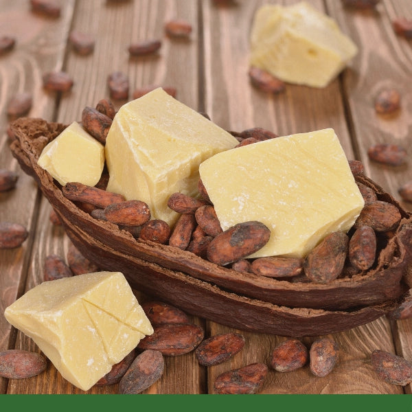 Cocoa Butter (Theobroma cacoa) - Chunks