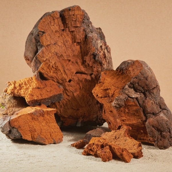 Five Mushroom Blend – Superfood, Heritage Tea