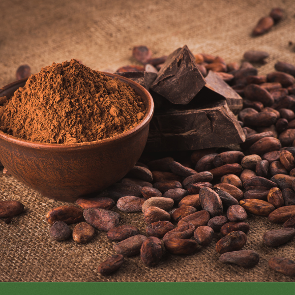 Cocoa Powder, Alkalized (Theobroma cacao) - Dried Herb, Organic