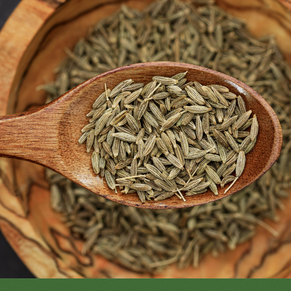 Cumin Seed