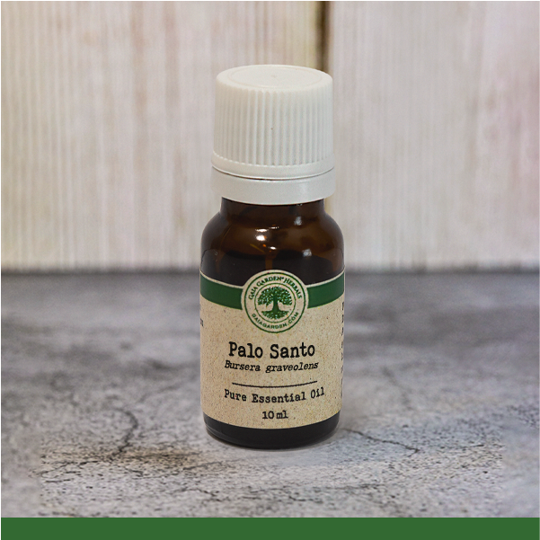 Hydrolat De Palo Santo (Bois Sacré) Bursera Graveolens Sauvage - Flacon 1000 Ml - Marque Oshadhi