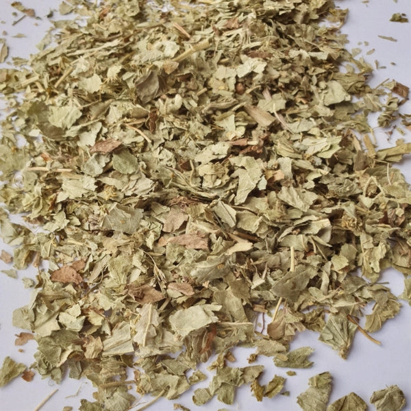 Ladys Mantle, Leaf (Alchemilla xanthochlora) - Dried Herb, Organic