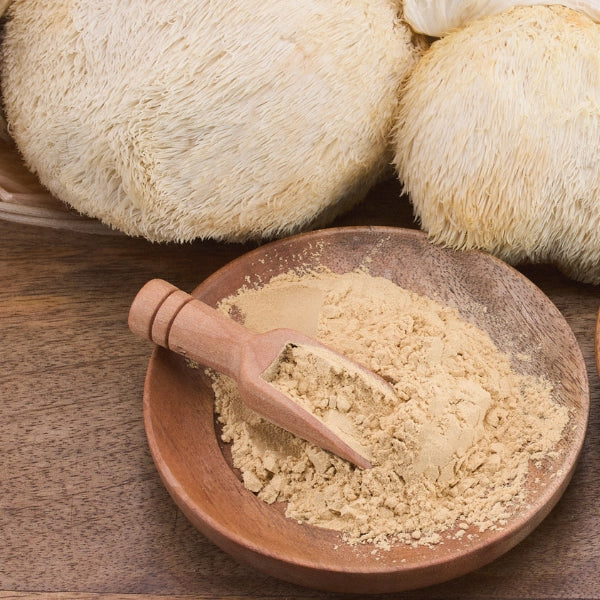 Lions Mane Mushroom Powder (Hericium erinaceus) - Dried Herb, Organic