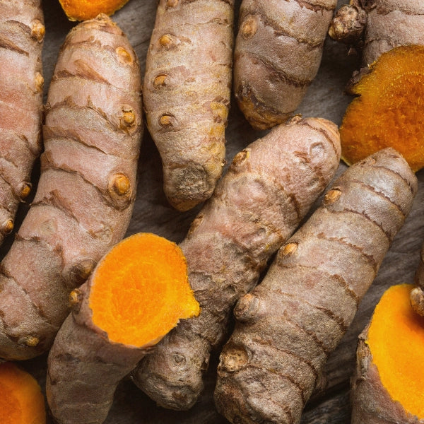 Liver Love Elixir – Heritage Tea