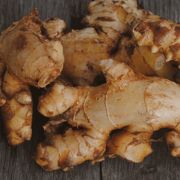 Liver Love Elixir – Heritage Tea