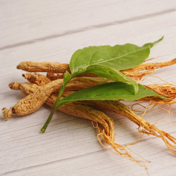 Man Alive – Heritage Tea