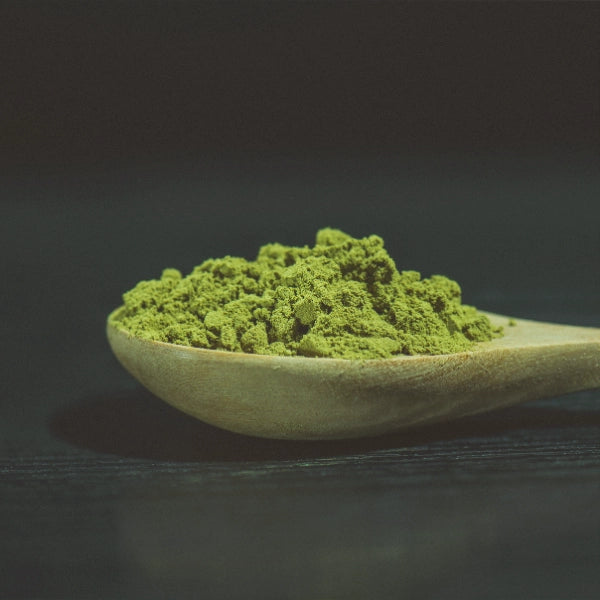 Matcha, Powder (Camillia sinensis) - Dried Herb, Organic