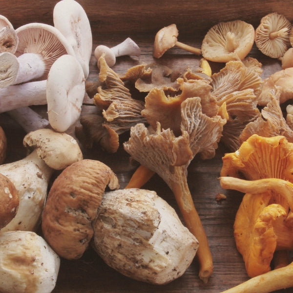 Mind & Mood – Heritage Tea