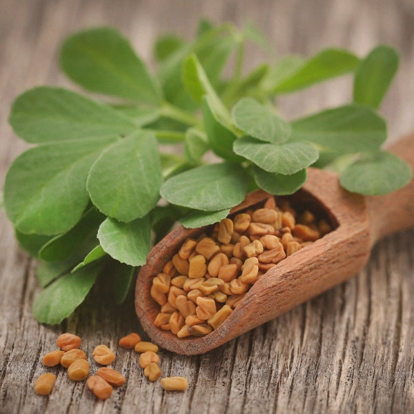 Momma's Blend – Heritage Tea