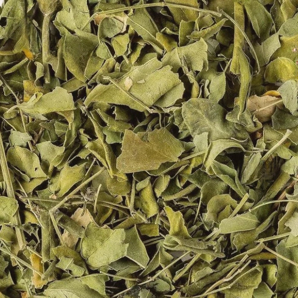 Moringa Leaf (Moringa oliefera), Cut & Sifted - Dried Herb