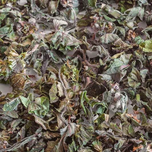 Motherwort, Cut & Sifted (Leonorus cardiaca) - Dried Herb, Organic