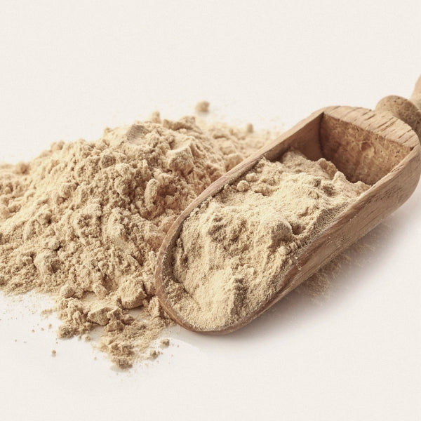 Mucuna Powder (Mucuna pruriens) - Dried Herb, Organic