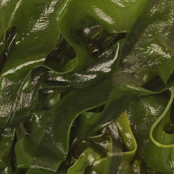 Pets Plus – Nutritional Powder, Heritage Tea