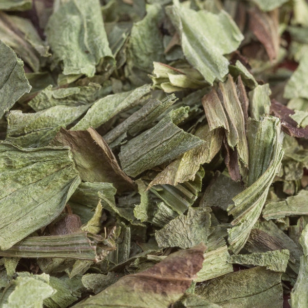 Plantain (Plantago lanceolata) - Dried Herb, Organic