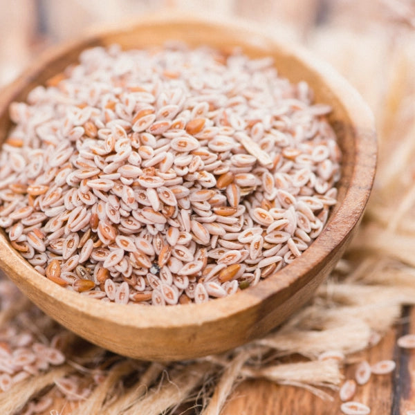 Psyllium Husks (Plantago ovata) - Dried Herb, Organic