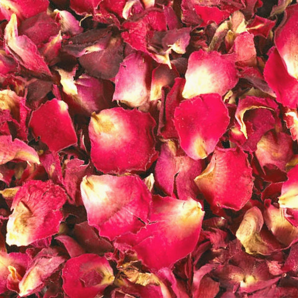 Red Rose Petals (Rosa centifolia) - Dried Herb, Organic