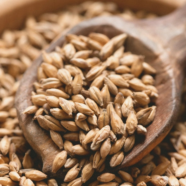 Root Beer – Heritage Tea