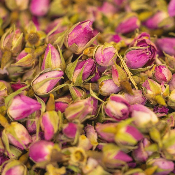 Rose Buds (Rosa damascena) - Dried Herb, Organic