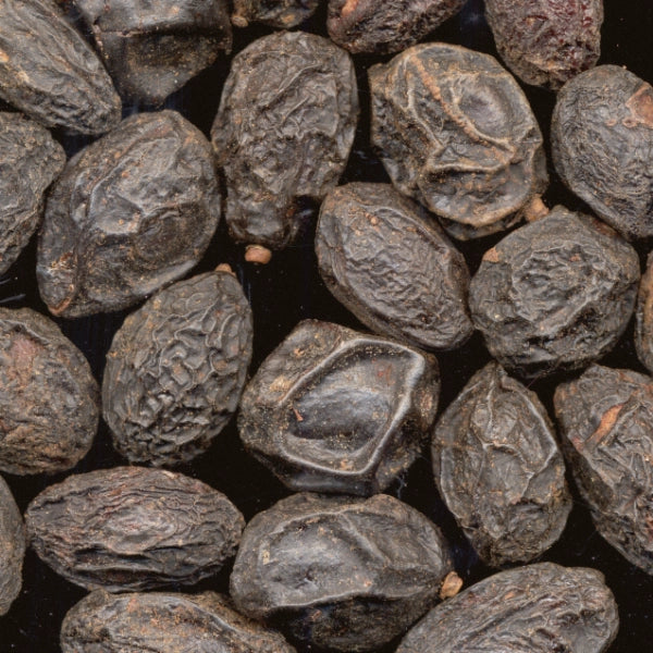 Saw Palmetto Berries, Cut & Sifted (Serenoa serrulata) - Dried Herb, Organic