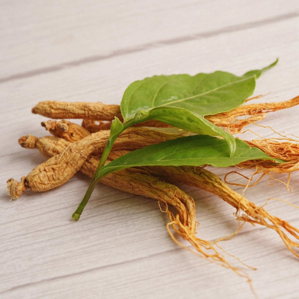 Sugar Support – Heritage Tea