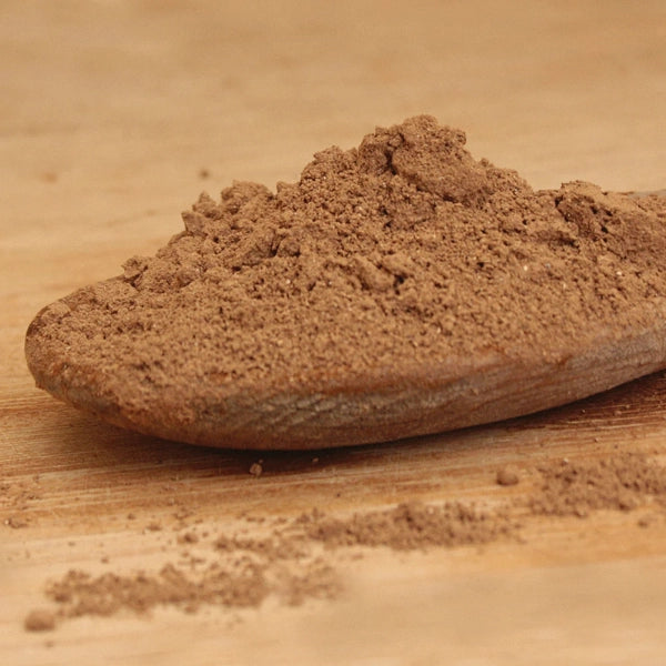 Turkey Tail Mushroom Powder (Coriolus versicolor) - Dried Herb, Organic