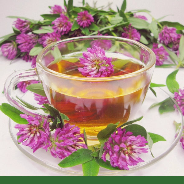 Wildfire – Heritage Tea