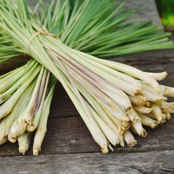 Yoga Tea – Heritage Tea