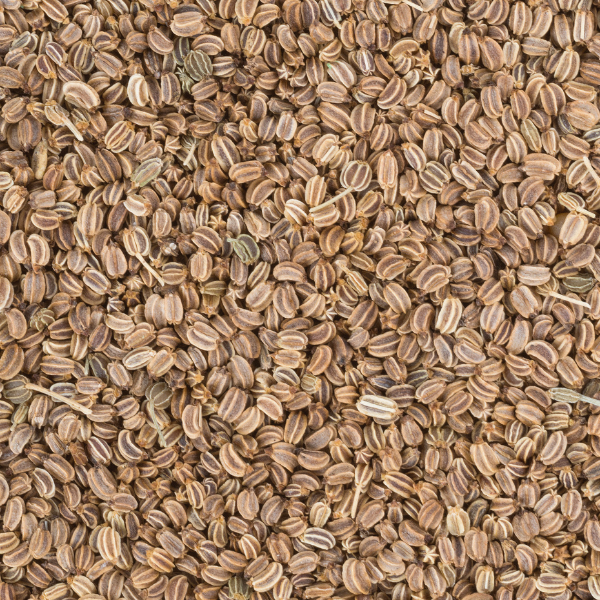 Celery Seed (Apium graveolens) - Essential Oil