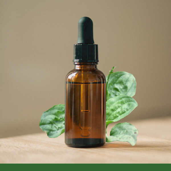 Plantain - Carrier Oil