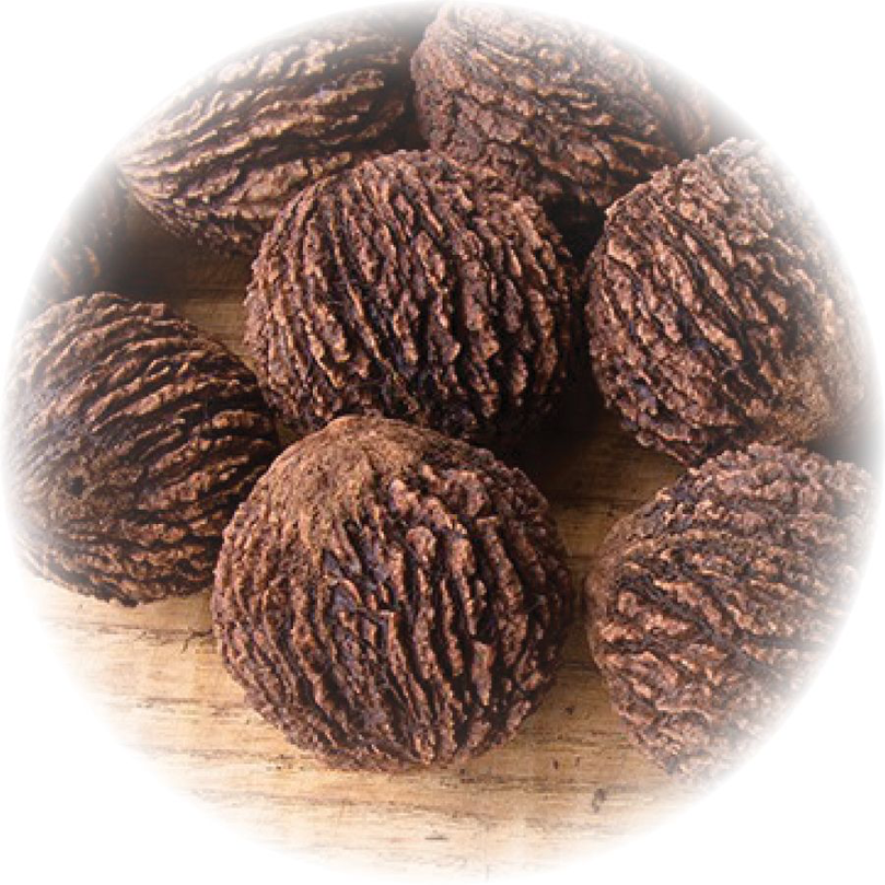 BlackWalnut