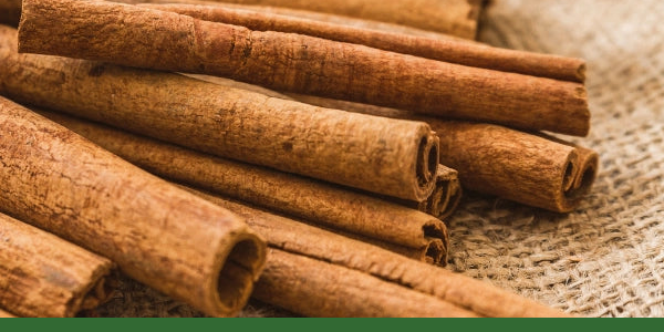 Close view of Ceylon cinnamon sticks on natural linen.