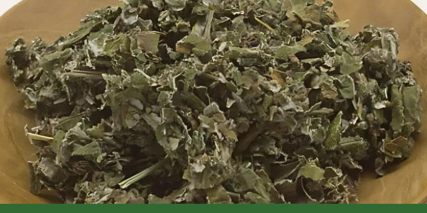 Dried red raspberry leaves ready for tea with a Gaia Garden green border.