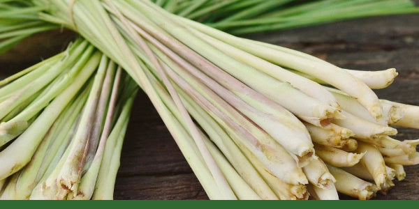 Fresh lemongrass stalks bundled on a wooden surface