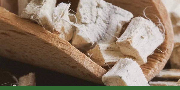 Cut dried marshmallow root in a wooden scoop