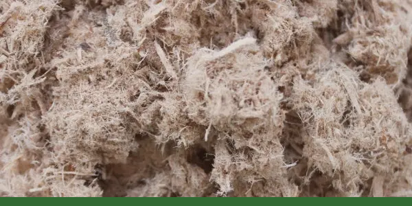 Close-up of organic cut and sifted slippery elm bark
