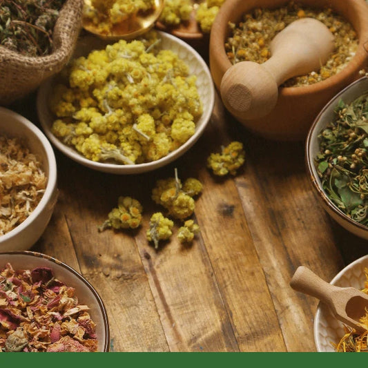 Herbal Medicine