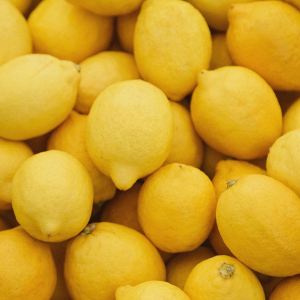 Lemon Slices - Dried Herb, Organic