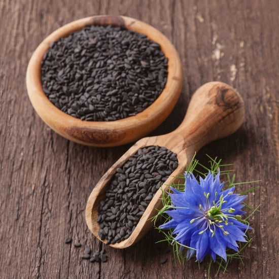 black plant seeds Gaia Garden Herbals Inc