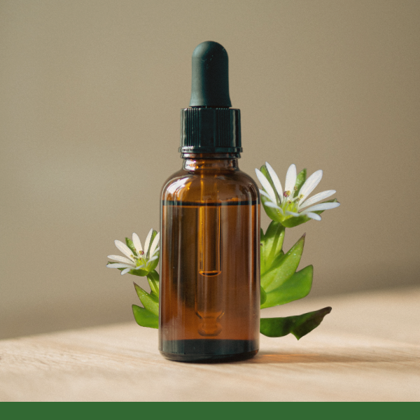 Chickweed - Carrier Oil