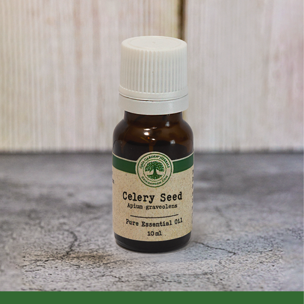 Celery Seed (Apium graveolens) - Essential Oil