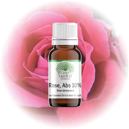 Persian Queen • 100% Damascena Rose essential oil • Astara, Persia —  AromaSublime