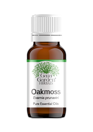 Oakmoss Essential Oil 1/16th Oz. (Evernia furfuracea): DragonMarsh