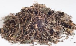 Bacopa (Brahmi) c/s (Organic) - Dried Herb (bulk) (Bacopa monniera)