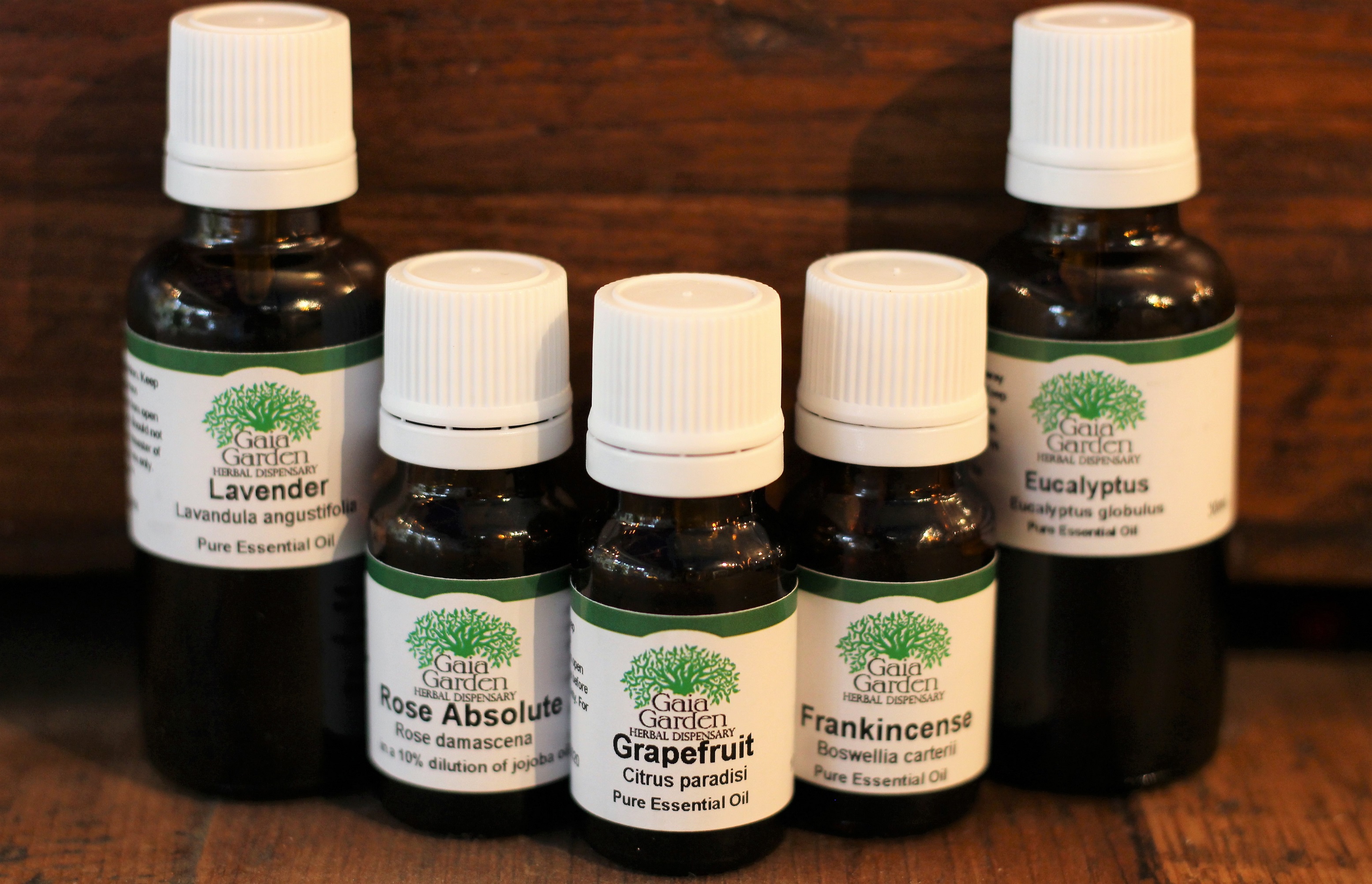Eucalyptus - Essential Oil (Eucalyptus globulus)