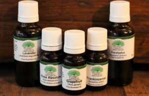 Balsam Fir - Essential Oil (Abies balsamea)